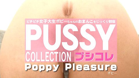 ポピー・プレシュア Poppy Pleasure